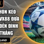 cách chọn kèo bóng đá VX88